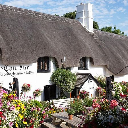 The Cott Inn ทอตเนส ภายนอก รูปภาพ